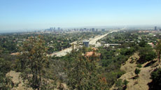 View overlooking Los Angeles
