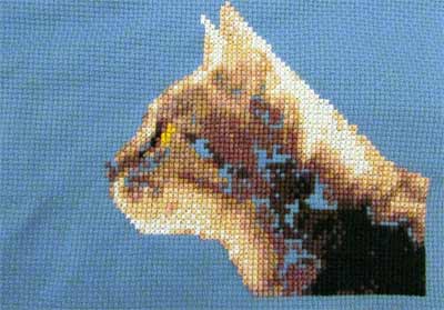 Counted cross Stitch Pattern